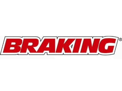 Picture for manufacturer Braking