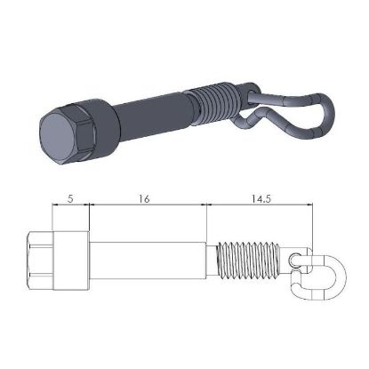 Afbeeldingen van Remblokbout achter ktm sx 50 04/25
