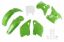 Afbeeldingen van UFO FULL KIT KAWASAKI OEM - KX 125/250 1992-1992