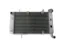 Afbeeldingen van RADIATOR ATV LTZ400 03-08