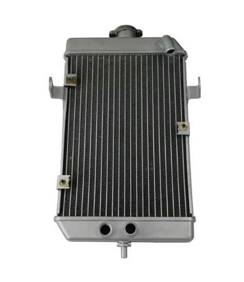 Afbeeldingen van RADIATOR ATV YFM660R