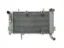 Picture of RADIATOR LTZ400 09-13