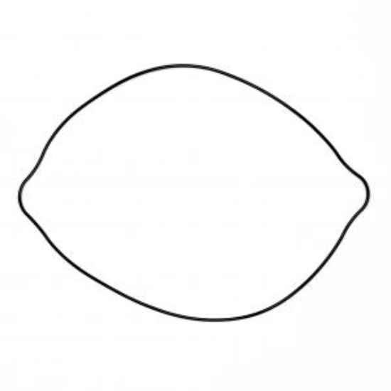 Afbeeldingen van RM250 91-95