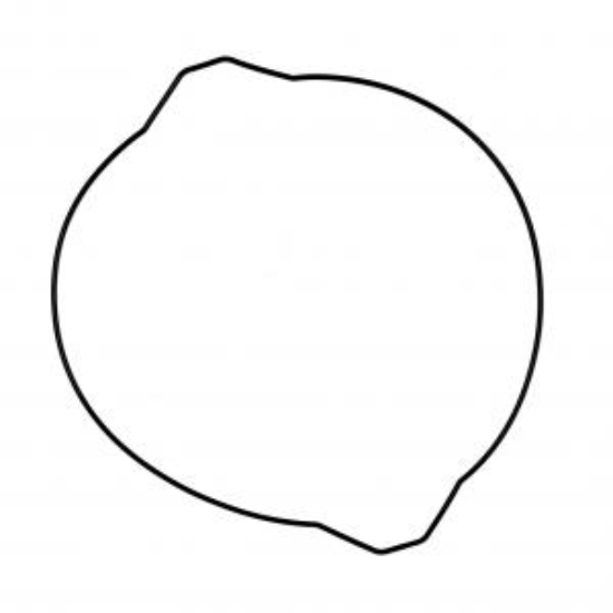 Picture of YZ250 99-26 YZ250X 16-26