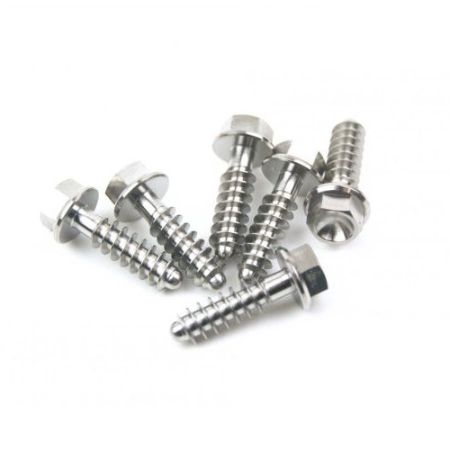 Afbeelding voor categorie Titanium Bouten