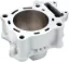 Picture of CRF250 04-09 Cilinder