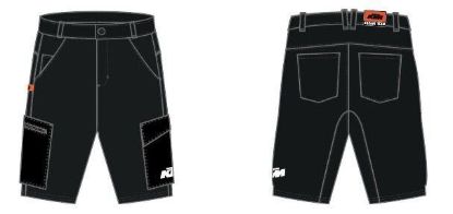 Picture of TEAM SHORTS L
